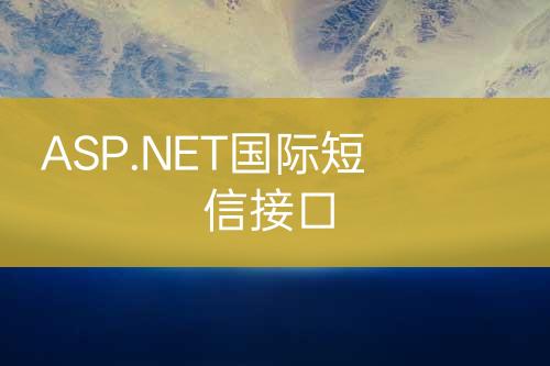 ASP.NET國(guó)際短信接口