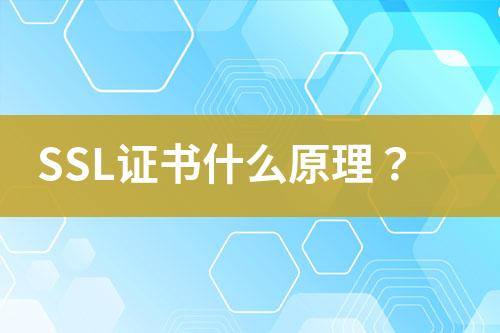 SSL證書什么原理？