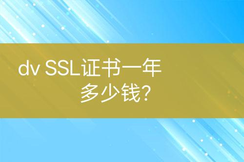 dv SSL證書一年多少錢？