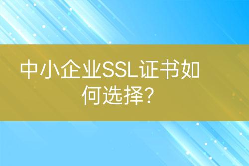 中小企業(yè)SSL證書如何選擇？