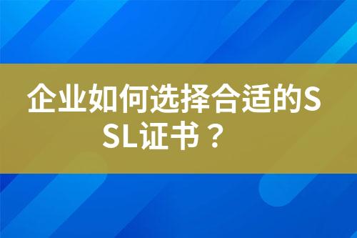 企業(yè)如何選擇合適的SSL證書？