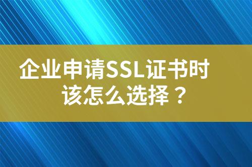 企業(yè)申請(qǐng)SSL證書(shū)時(shí)該怎么選擇？