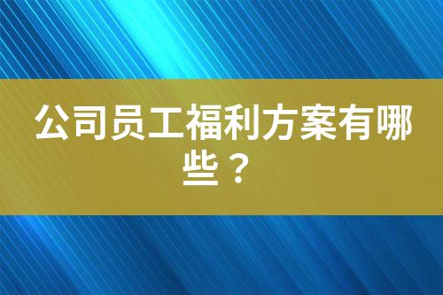 公司員工福利方案有哪些？