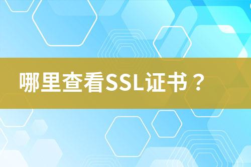 哪里查看SSL證書？