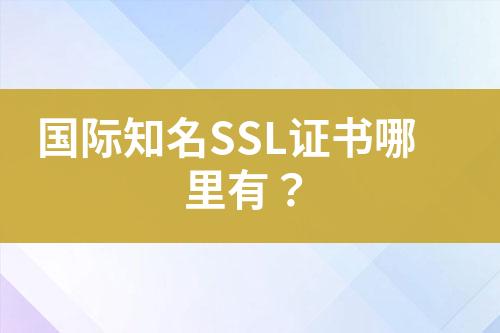 國際知名SSL證書哪里有？