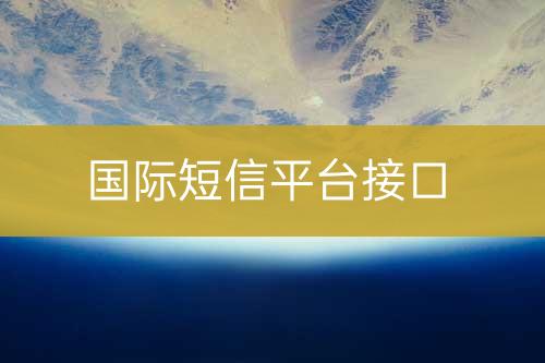 國(guó)際短信平臺(tái)接口