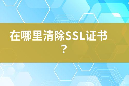 在哪里清除SSL證書？