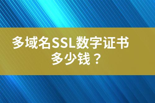 多域名SSL數(shù)字證書(shū)多少錢(qián)？