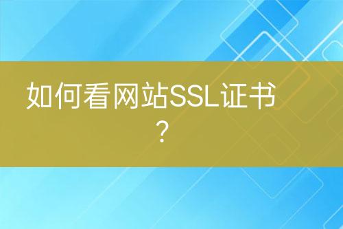 如何看網(wǎng)站SSL證書？