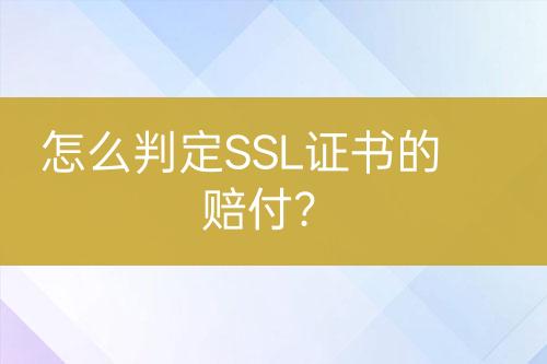 怎么判定SSL證書的賠付？