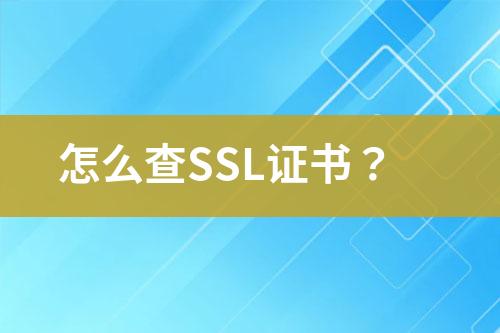 怎么查SSL證書？