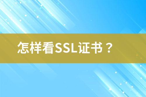 怎樣看SSL證書？