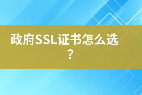 政府SSL證書(shū)怎么選？