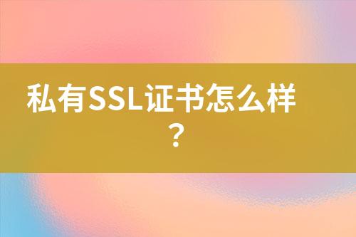 私有SSL證書怎么樣？