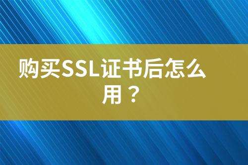 購(gòu)買SSL證書后怎么用？