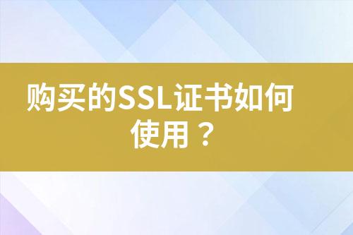 購買的SSL證書如何使用？