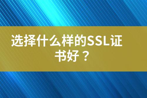 選擇什么樣的SSL證書(shū)好？